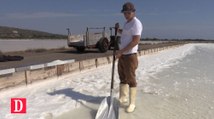 A La Palme (Aude), on récolte la fleur de sel