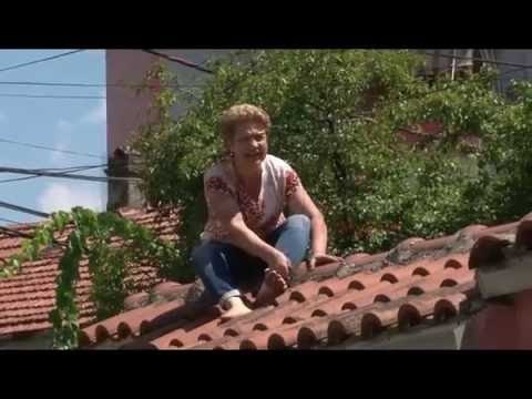 KONFLIKTI PER PRONEN, GRUAJA ME THIKE NE DORE KERCENON SE HIDHET NGA CATIA