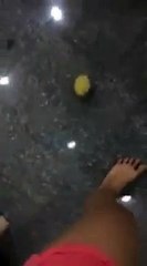 Chú vị con lũn chũn theo "mẹ bất đắc dĩ"