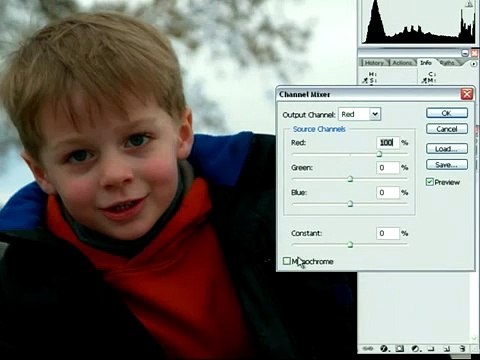 Adobe Photoshop CS2 Basic Color Correction Using the Fade Command