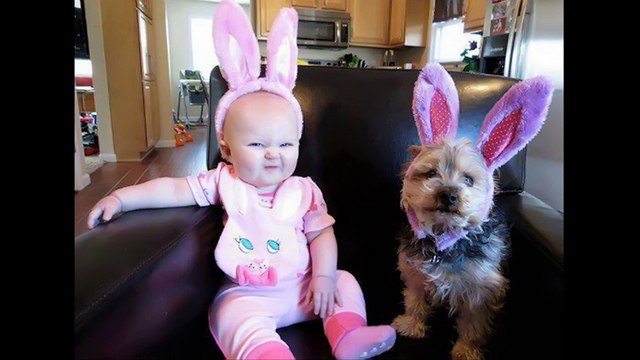 24 bức ảnh siêu đáng yêu cho thấy thú cưng luôn đồng hành cùng trẻ con