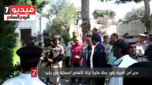 مدير أمن الغربية يقود حملة مكبرة لإزلة الأقفاص السمكية بفرع رشيد