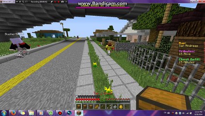 AlfDior hacking on mc cnetral