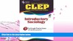 behold  CLEP Introductory Sociology (CLEP Test Preparation)