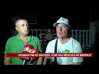 DESINSEKTIMI NË SHKODËR, PUNË NGA MËNGJESI NË MBRËMJE