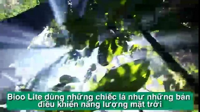 Xuất hiện loài cây có khả năng sạc điện thoại cho bạn