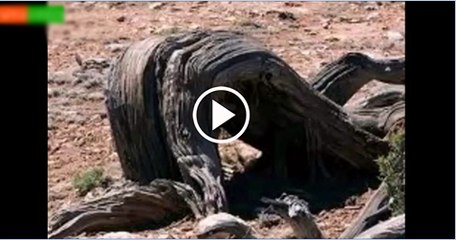 Miracles-of-allah-God-2014-Part1