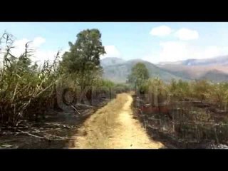 Video (1)/Zjarrvënie e qëllimshme në fushat e Delvinës, digjen 9 ha me ullinj