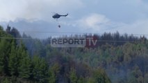 Report TV - Pezë, digjen dhjetra hektar pyje ndërhyjnë zjarrfikëset e një helikopter