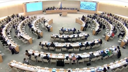 Standing Rock Sioux Chairman takes #NODAPL to the United Nations