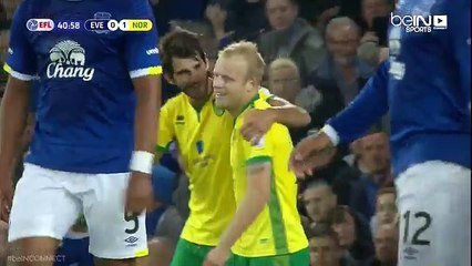Steven Naismith goal vs Everton (0-1)