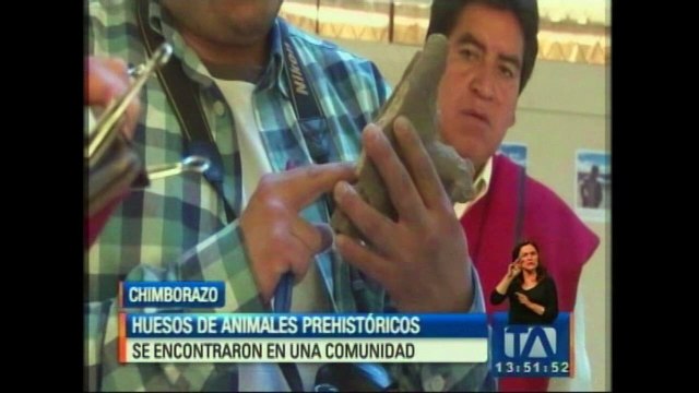 Encuentran restos de animales de la era del hielo en Chimborazo