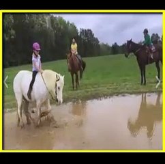 Niña cae de Caballo y Mira lo que pasa