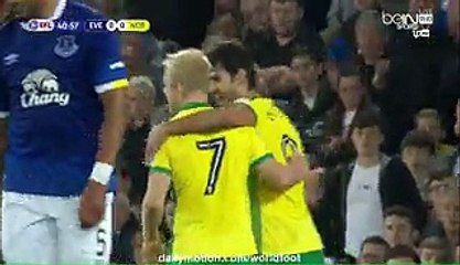 0-1 Steven Naismith Goal HD - Everton vs Norwich City - 20.09.2016