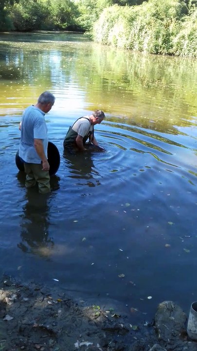 remise eau carpe site