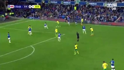 Josh Murphy SUPER GOAL HD - Everton	0-2	Norwich 20.09.2016