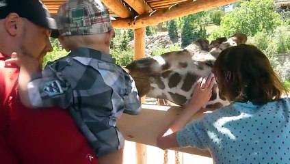 Kids and wild animals At The Zoo