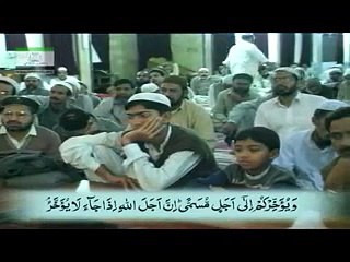 Difference between Warning and Education (Informing) ?