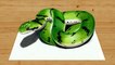 Speed Drawing of a Green Snake How to Draw Time Lapse Art Video Colored Pencil Illustration Artwork Draw Realism