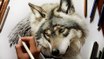 Speed Drawing of a Wolf  How to Draw Time Lapse Art Video Colored Pencil Illustration Artwork Draw Realism