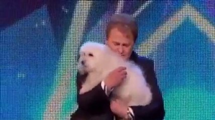 America's got talent Talking dog