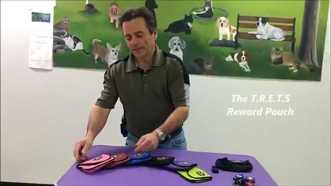 Magnetic Cell Phone Holder