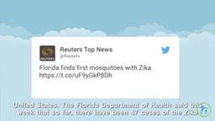 Mosquitos Carrying Zika Virus Found in Florida