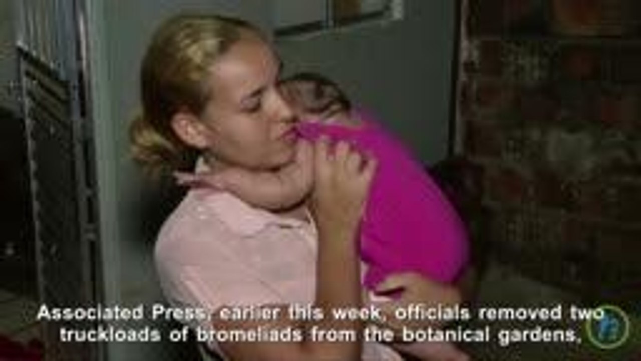 Miami Landscapes Flowers Prone to Mosquito Breeding To Fight Zika Growth