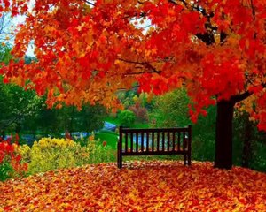 zeki-muren-seninle-bir-sonbahar