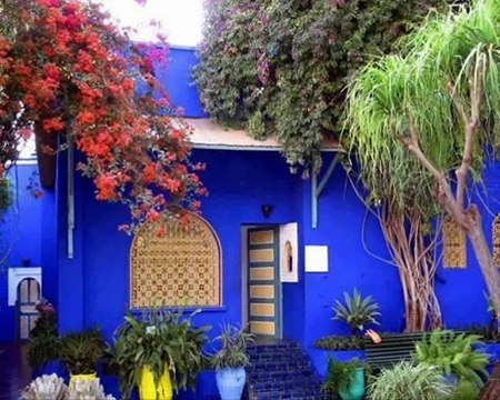 Hakan-Tasiyan-Guz-Gulleri