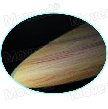 MOVEED® Forensic Uniform Detection LED Light Source OR-GYD10