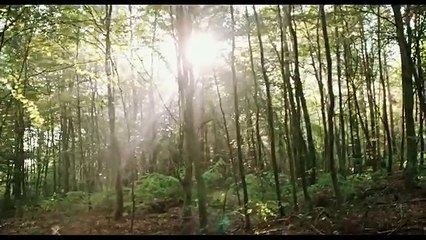 Blair Witch Official International Trailer 1 (2016) - Horror Movie