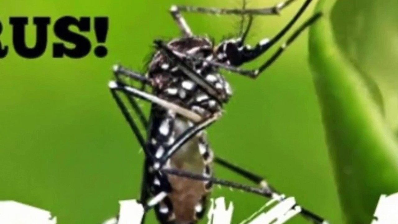 Phát hiện hai bệnh nhân đầu tiên nhiễm virus Zika tại Việt Nam