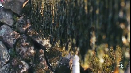 Sản xuất mì sợi theo phương pháp truyền thống