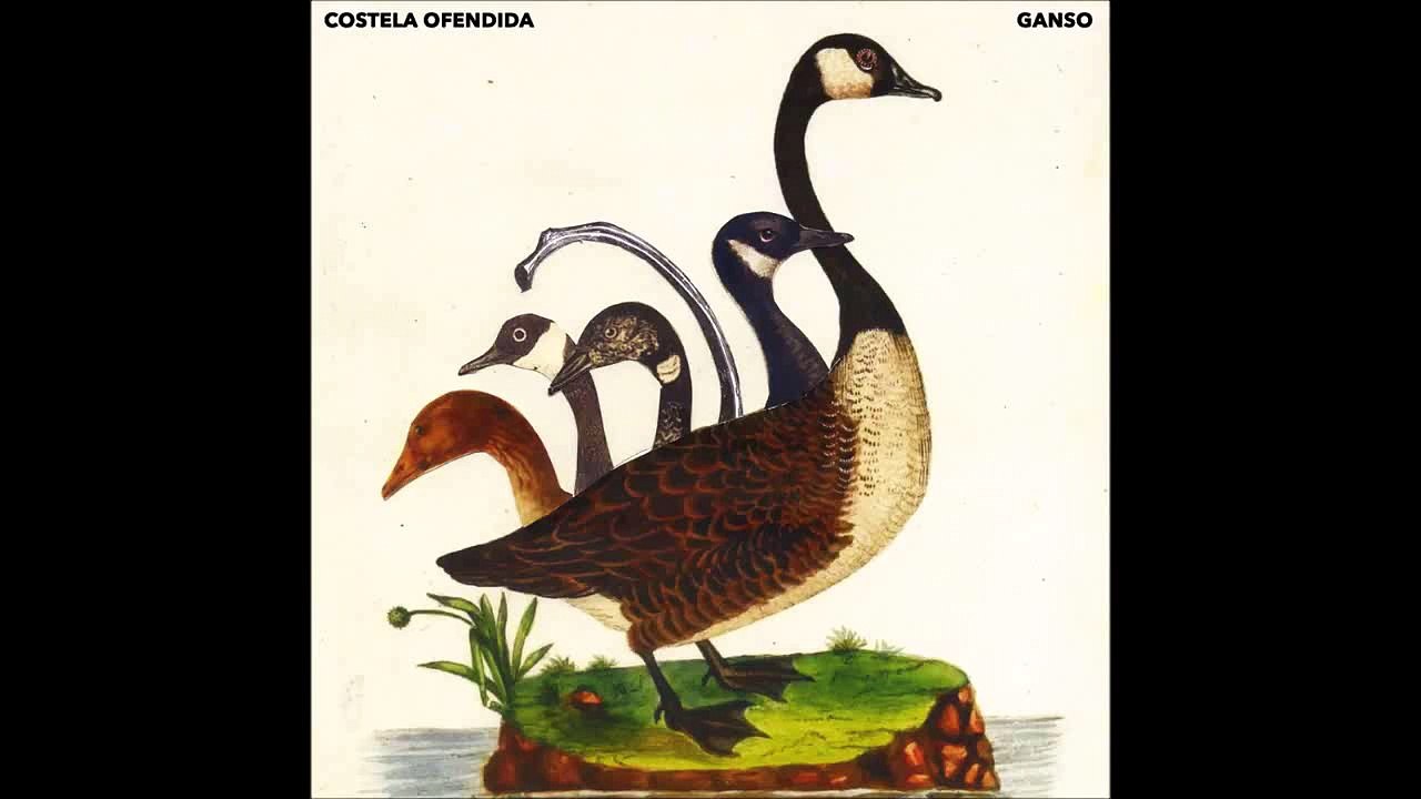 Ganso - Pistoleira