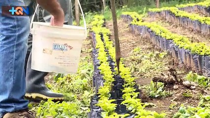 +QN 20 Setiembre 2016