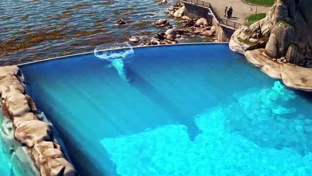 Finding Dory Official Trailer #2 (2016) - Ellen DeGeneres, Albert Brooks Movie HD