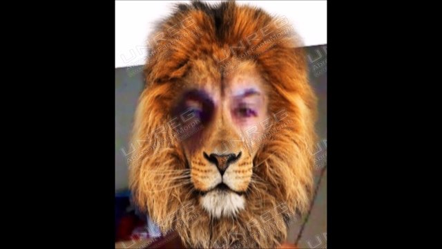 Chris Isaak Wicked Games By LS luis Filipe da Silva Santos