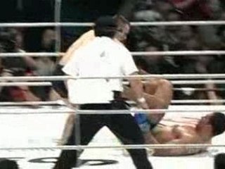 Pride Minotauro gran show