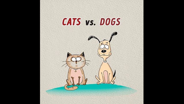 Sự khác nhau giữa chó và mèo