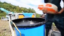 Cách người Nhật bắt cá chép từ hồ nước cực đơn giản