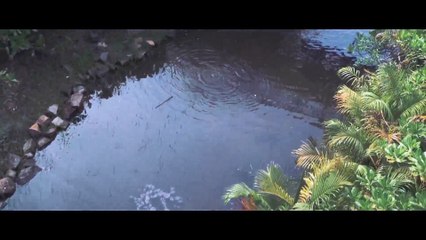 MV Missing You - Thanh Bùi ft Alex Tú