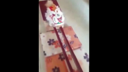 Màn múa lân đáng yêu nhất thế giới (2 chú chó)