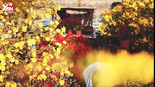 [Hồn Tết] Nổi trôi những mảnh đời qua mùng mới ăn Tết ở bến Bình Đông