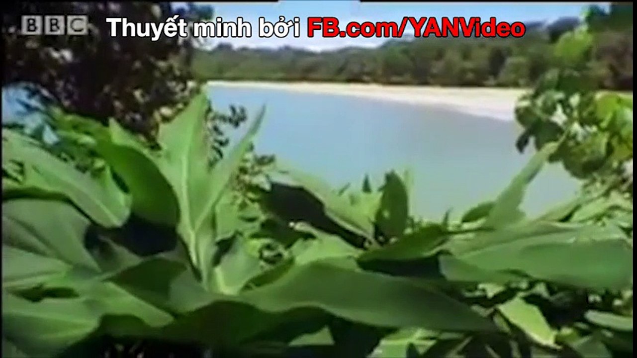 Sinh vật bé nhỏ có nọc độc nguy hiểm nhất hành tinh