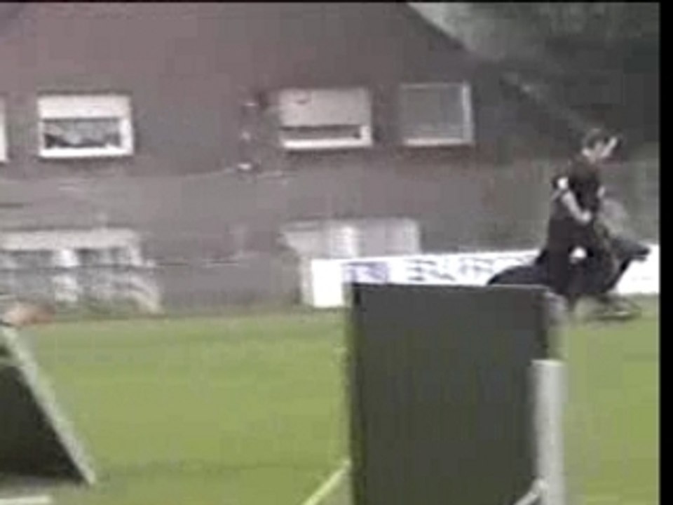 Unterordnung Hook LGA 2005