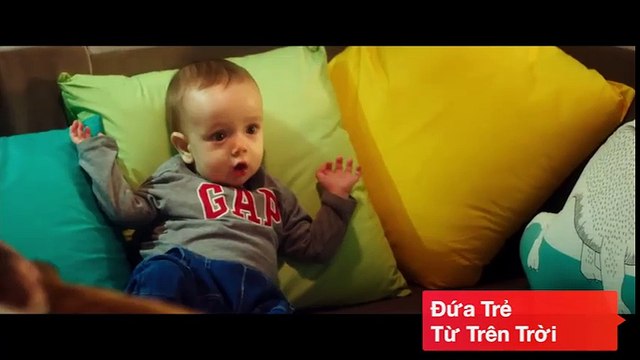 Phim của Triệu Vy, Lưu Diệc Phi bị coi là thảm họa điện ảnh 2015