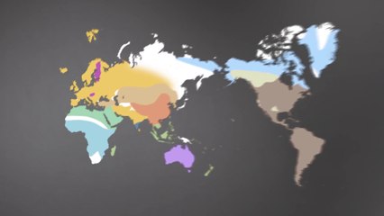 Le langage : Origine(s) des langues 1/4