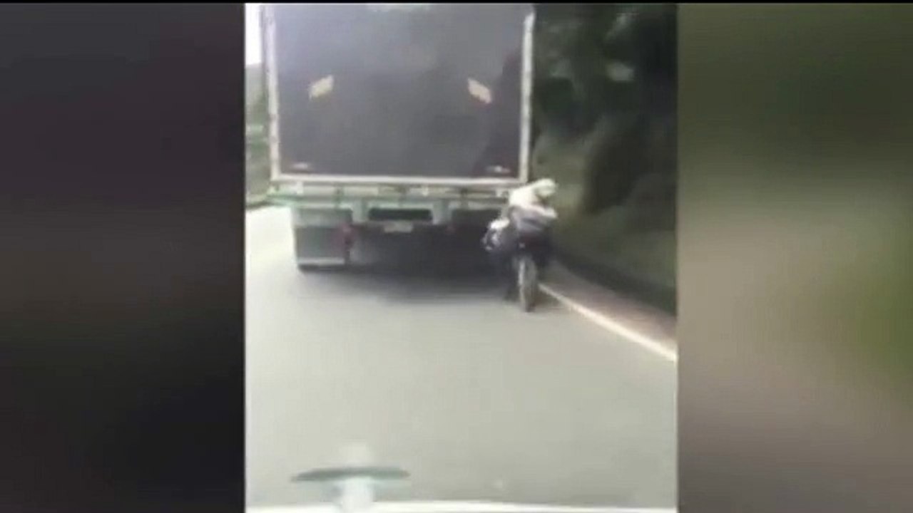 Vừa lái xe vừa chở theo chú chó, bám đuôi xe tải