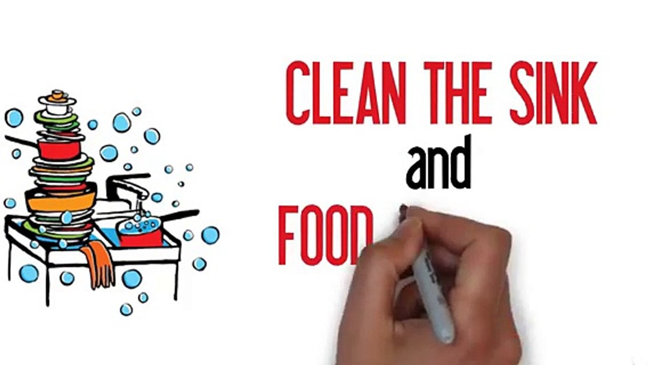 Certified Pest Control Sydney